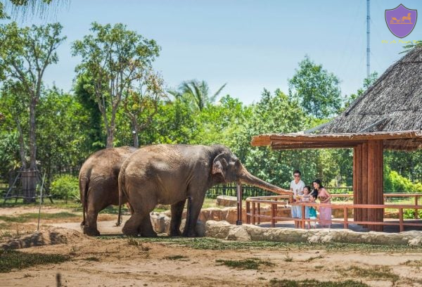 Da Nang to Vinpearl Land By Private Car- Hoi An Private Taxi