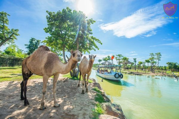 Da Nang to Vinpearl Land By Private Car- Hoi An Private Taxi
