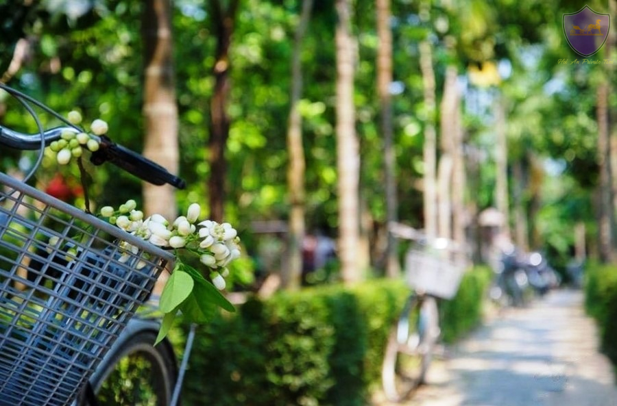 Thuy Bieu Village- Hoi An Private Taxi