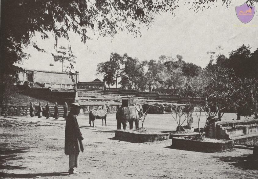 Hoi An Private Taxi Travel