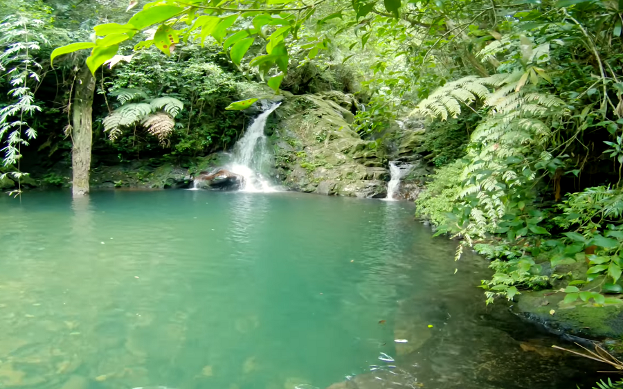 Bach Ma National Park-Hoi An Private Taxi