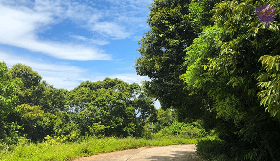 Ban Co Peak - Hoi An Private Taxi
