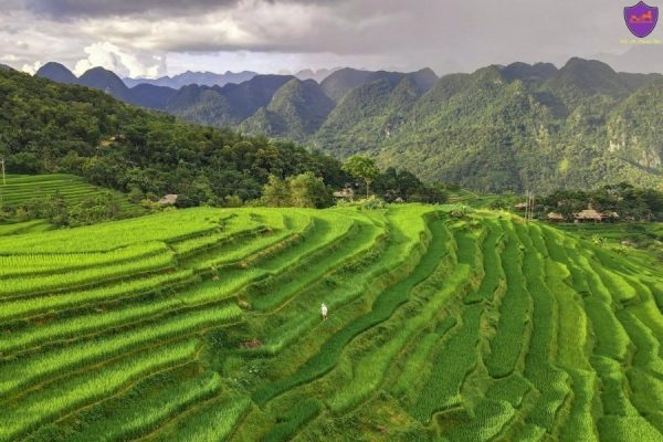 Hai Phong to Pu Luong By Private Car - Hoi An Private Taxi