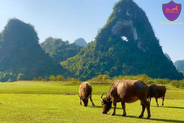 Hai Phong to Cao Bang By Car - Hoi An Private Taxi