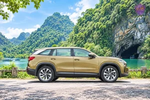 Phong Nha To Hoi An Private Car - Hoi An Private Taxi
