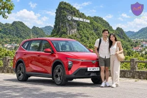 Phong Nha to Da Nang Private Car - Hoi An Private Taxi